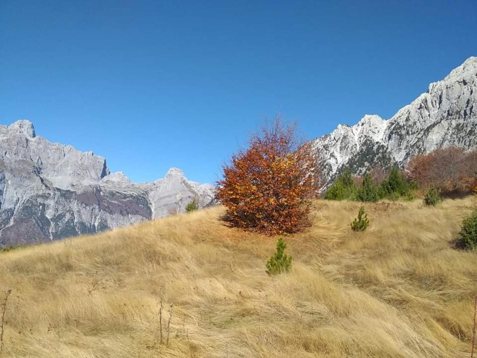 Bujtina 2 Ξενοδοχείο Βαλμπόνα Εξωτερικό φωτογραφία
