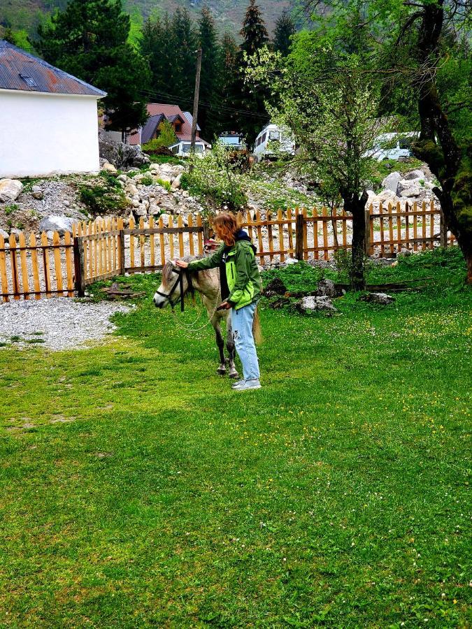 Bujtina 2 Ξενοδοχείο Βαλμπόνα Εξωτερικό φωτογραφία